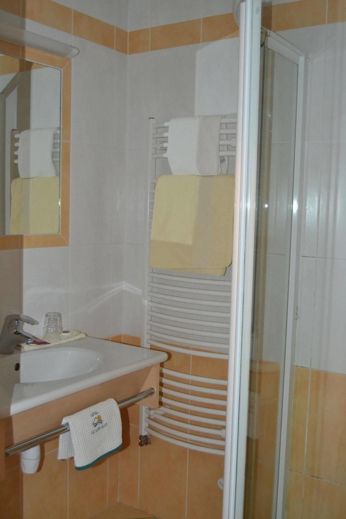 Hotel Du Lion Vert Luxeuil-les-Bains Dış mekan fotoğraf